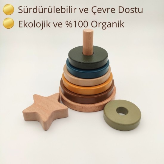 Montessori Disk Kulesi