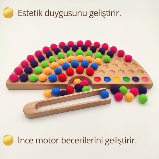 Montessori Gökkuşağı Renk Sıralama Seti Montessori Gökkuşağı Renk Sıralama Seti